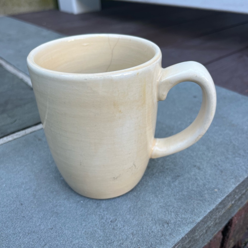 Pier One Earthenware Hand Painted Mug